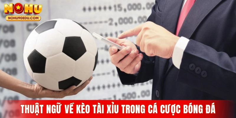 Lý do cần hiểu rõ thuật ngữ trong cá cược bóng đá